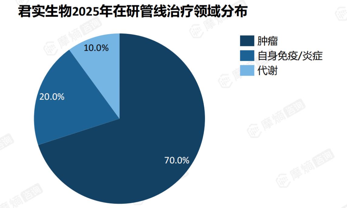 君实生物2025年在研管线治疗领域分布