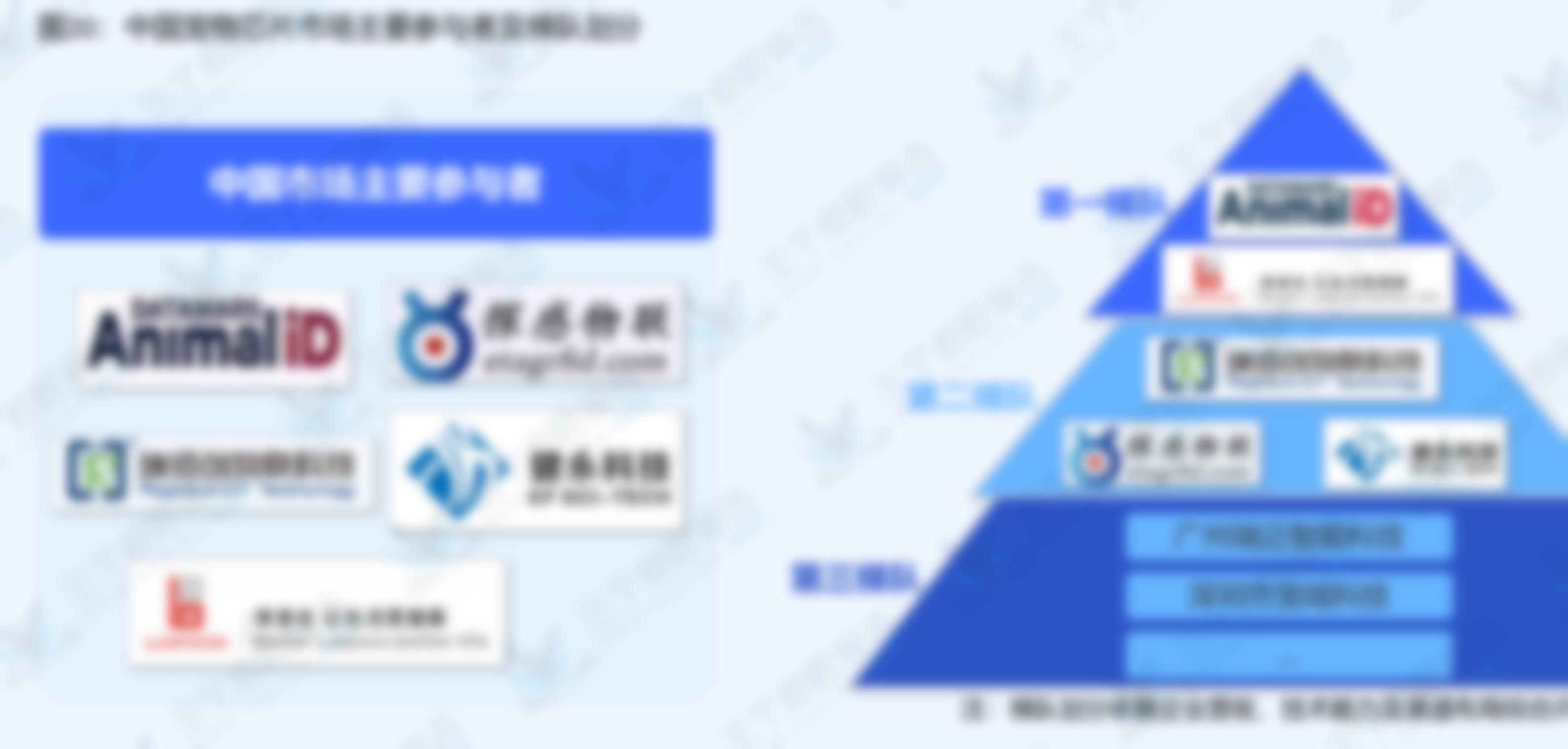 图12：中国宠物芯片中游厂商工艺流程_第4页
