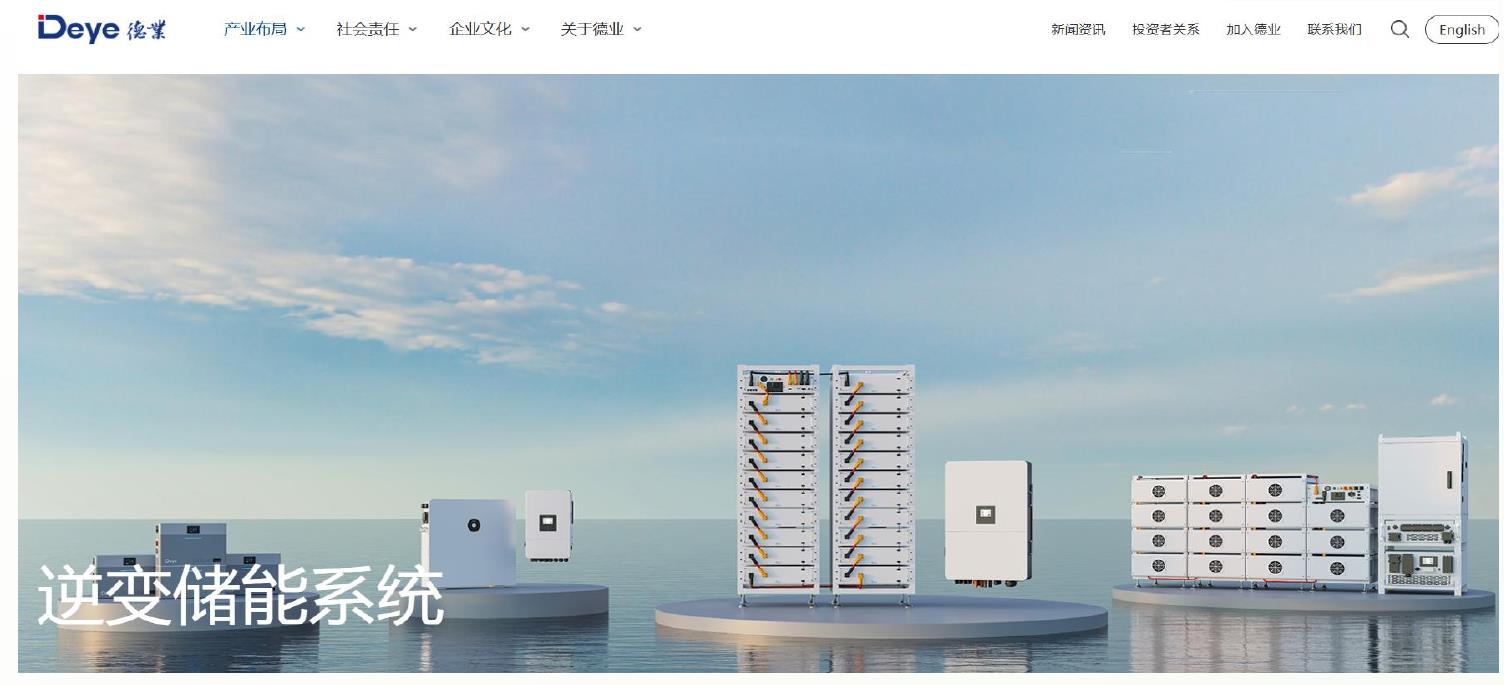 2025上半年度全球户储系统出货排名_第3页