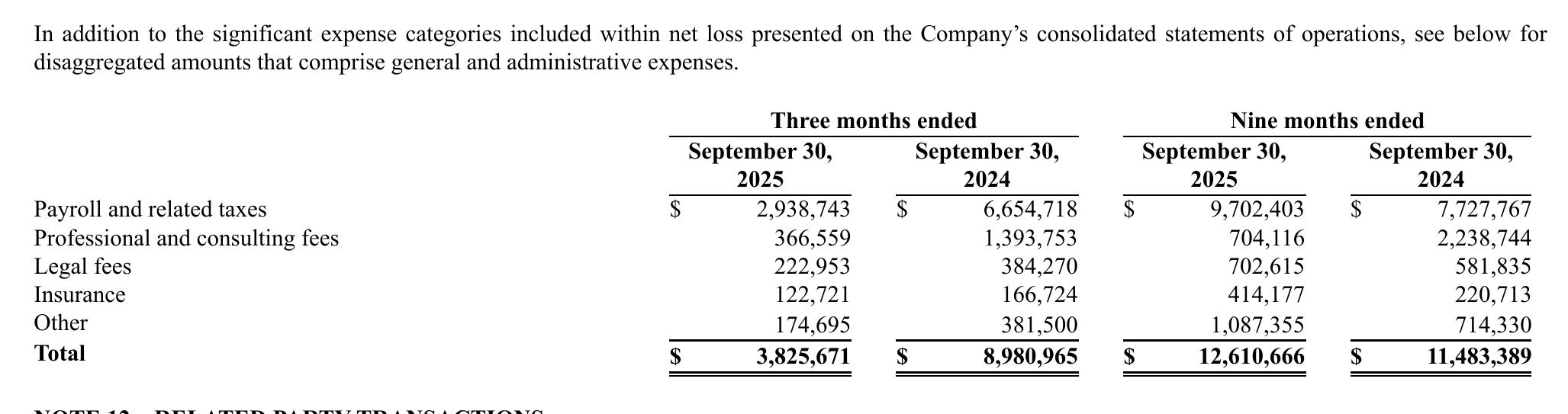 Unaudited Pro Forma Condensed Combined Statement of Operations For the year Ended December 31, 2024_第3页