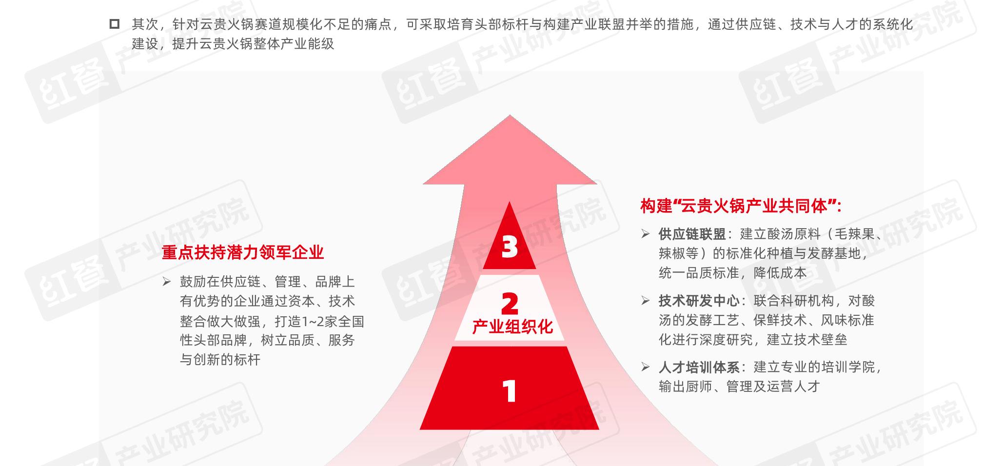 2024一2025年全国云贵火锅门店人均消费占比分布情况_第3页