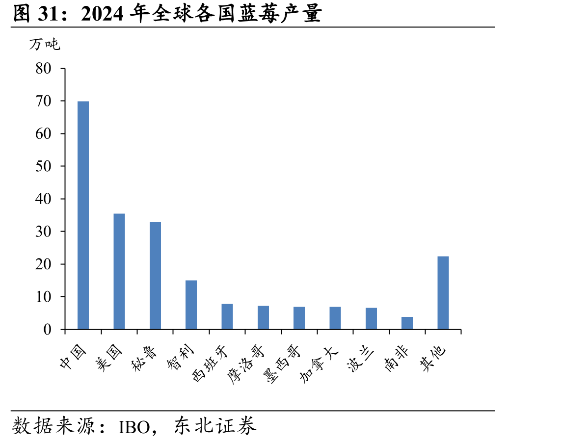 2024年全球各国蓝莓产量