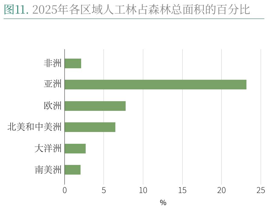 图11.2025年各区域人工林占森林总面积的百分比