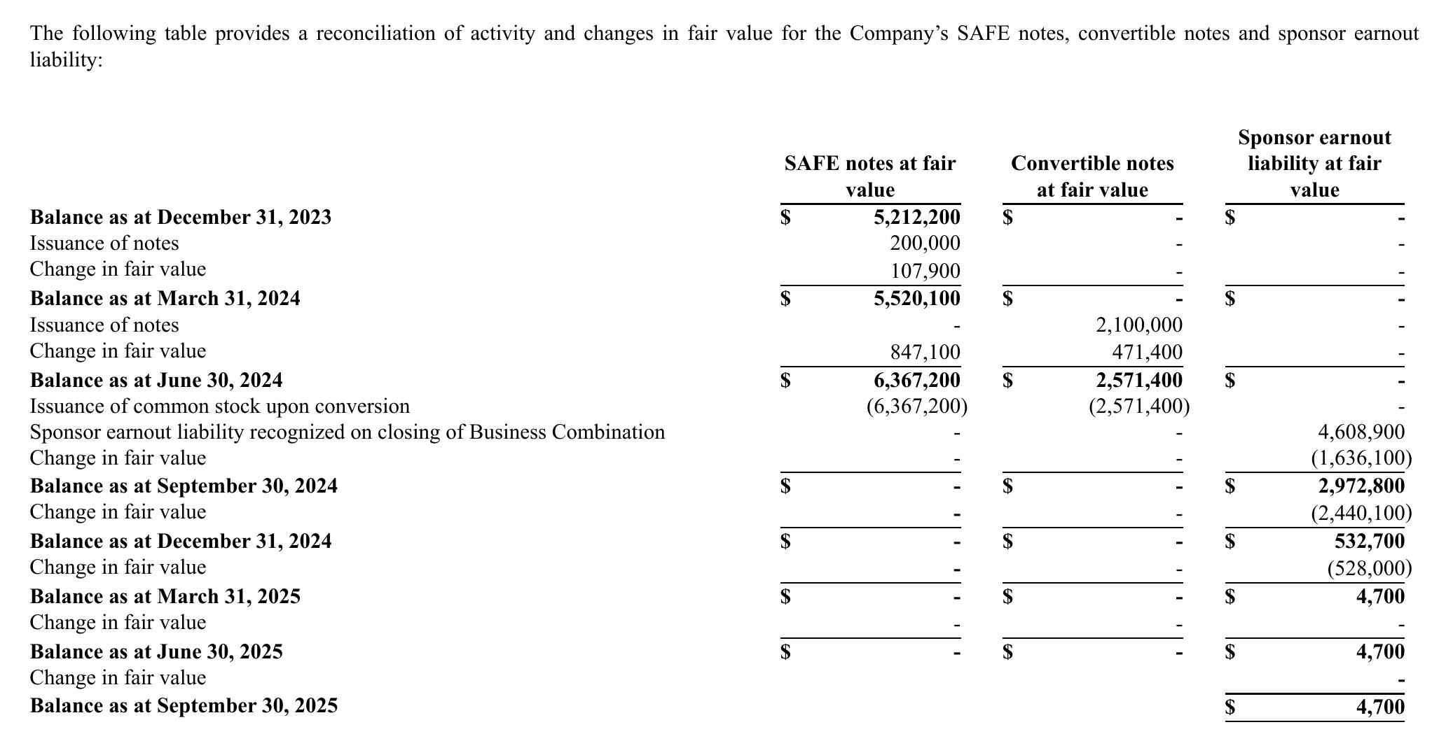 Unaudited Pro Forma Condensed Combined Statement of Operations For the year Ended December 31, 2024_第4页