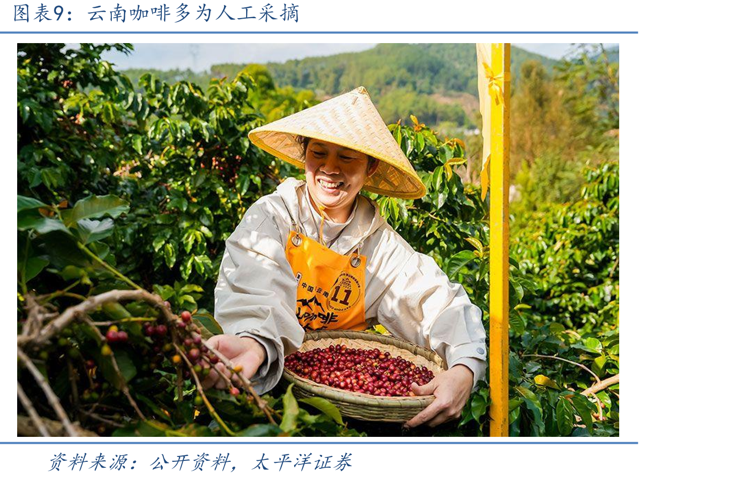 2019-2024年瑞幸咖啡门店数量（家）_第3页