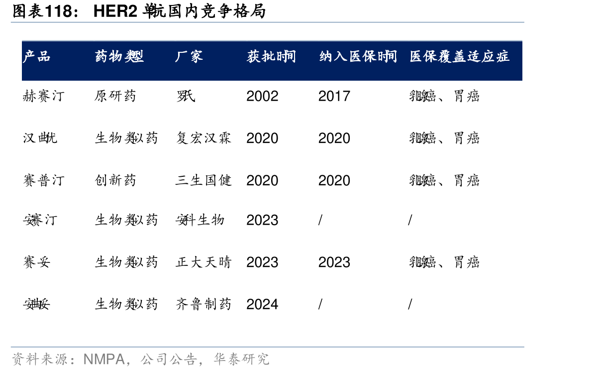 HER2抗国内竞争格局