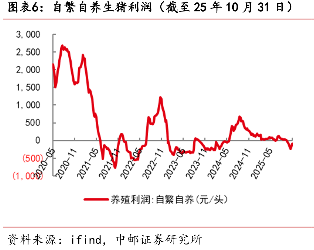 山东烟台毛鸡收购价（截至25年10月31日）_第5页