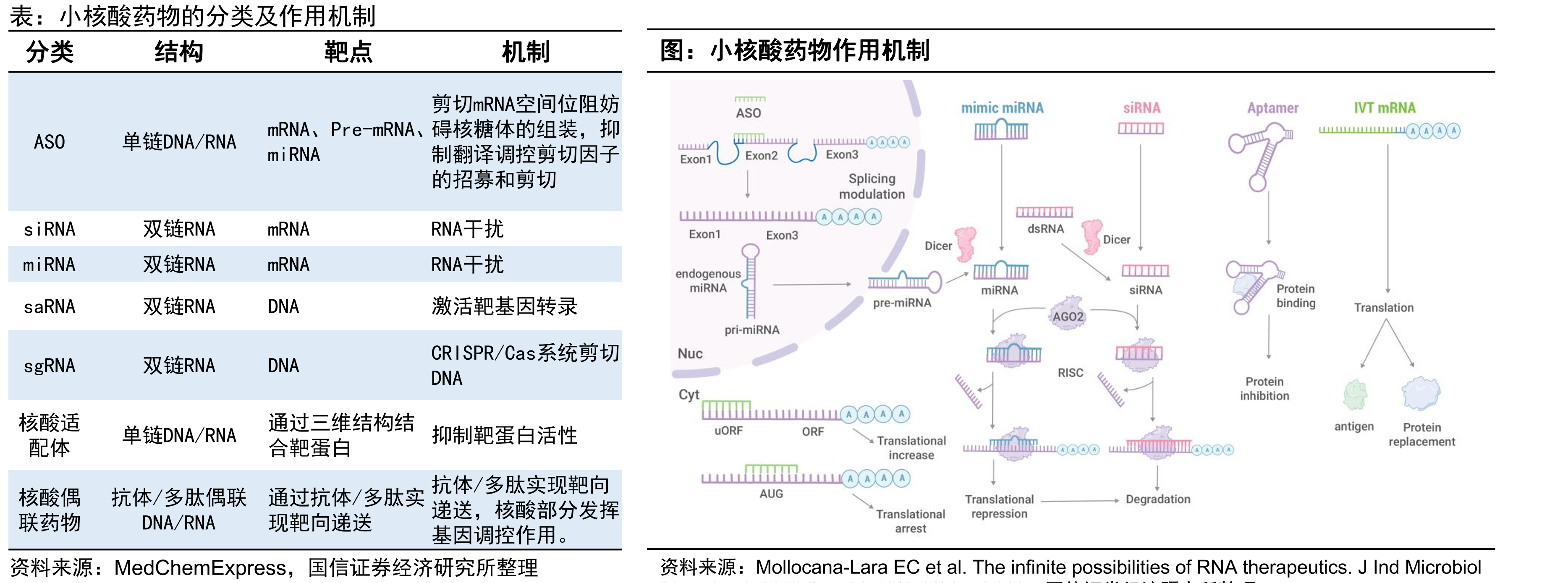 国内药企小核酸药物的BD交易_第5页
