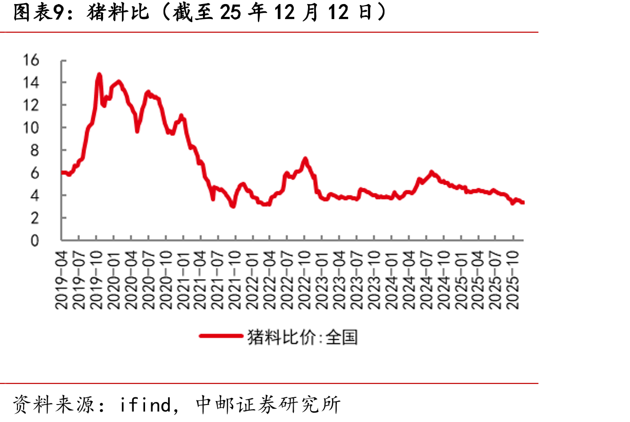 申万农林牧渔指数及主要证券综合指数表现（数据截至2025年12月12日）_第2页