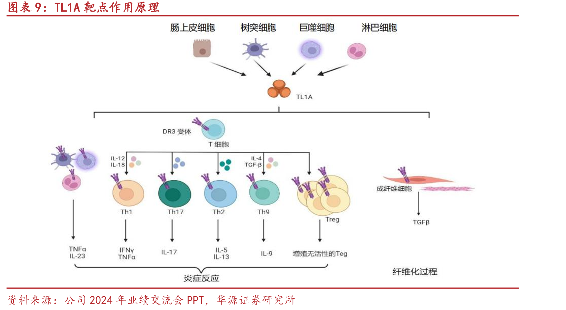 科兴制药研发相关管理人员_第2页