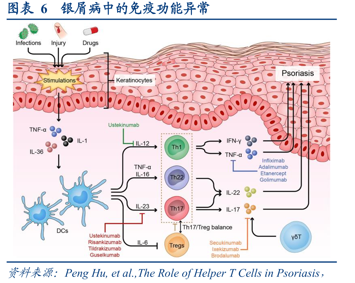 图表9不同疗法在生物制剂初治（左）和经治（右）患者中的药物留存率比较_第4页