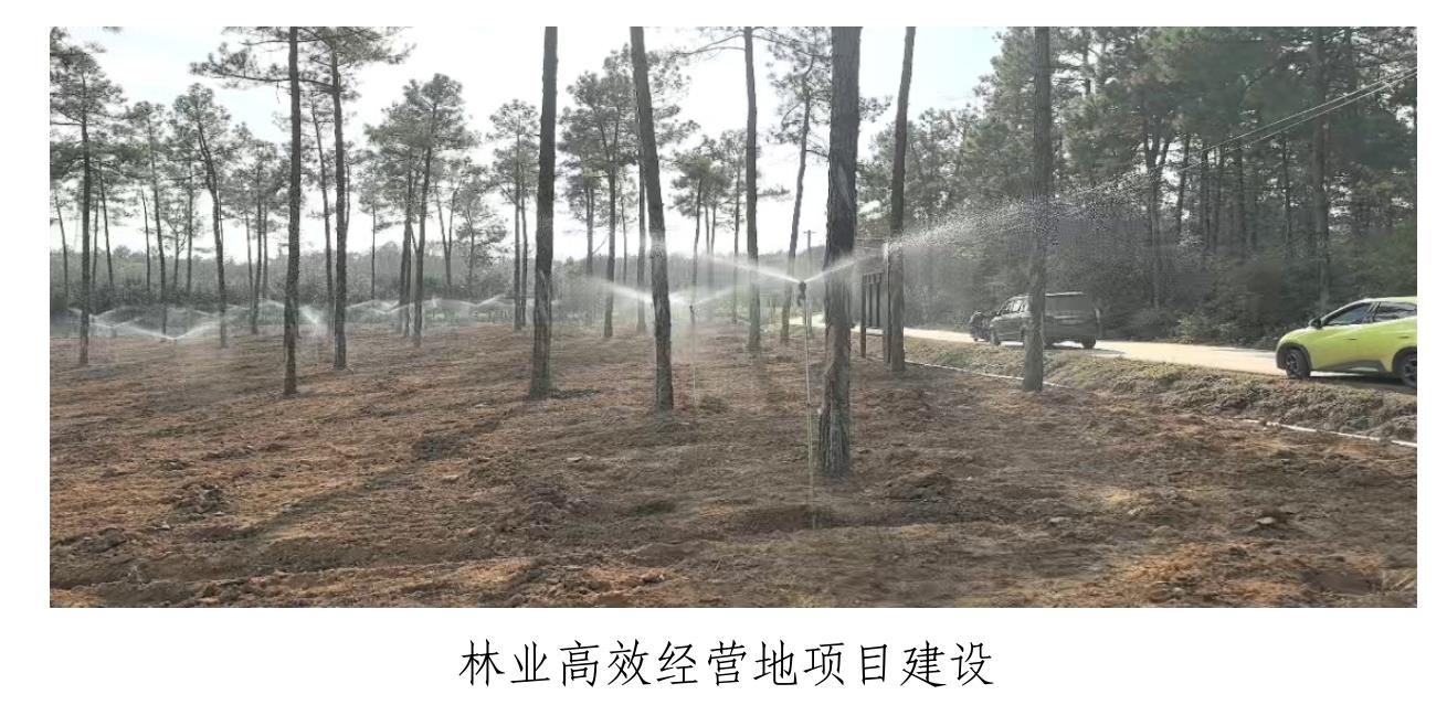 生辉，获评全国县域旅游综合竞争力白强县。_第3页