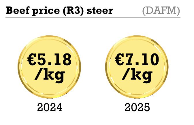 Beef price (R3) steer