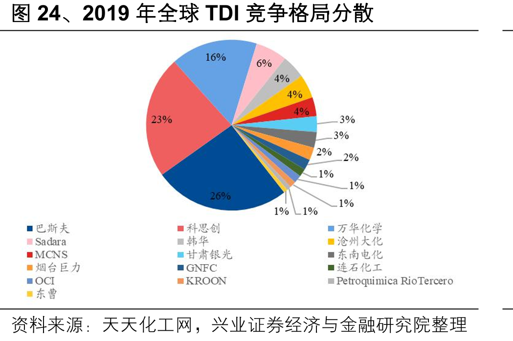 图24、2019年全球TDI竞争格局分散
