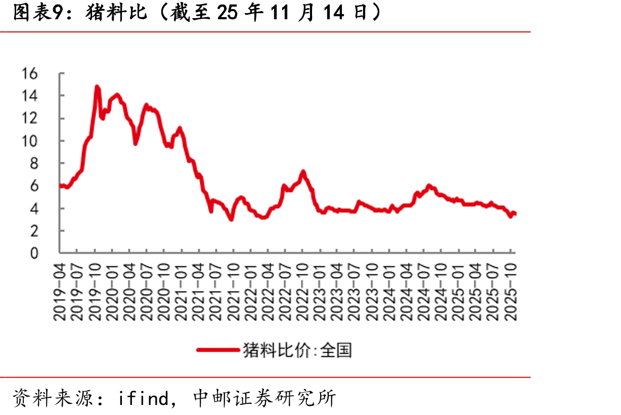 山东烟台毛鸡收购价（截至25年11月14日）_第2页
