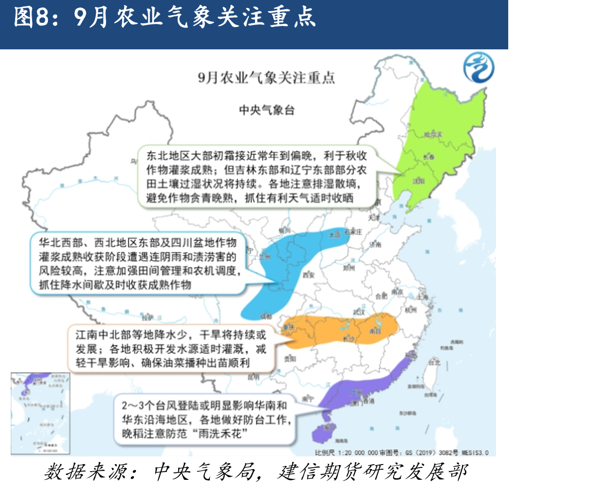 2025年中国棉花实播面积调查_第4页