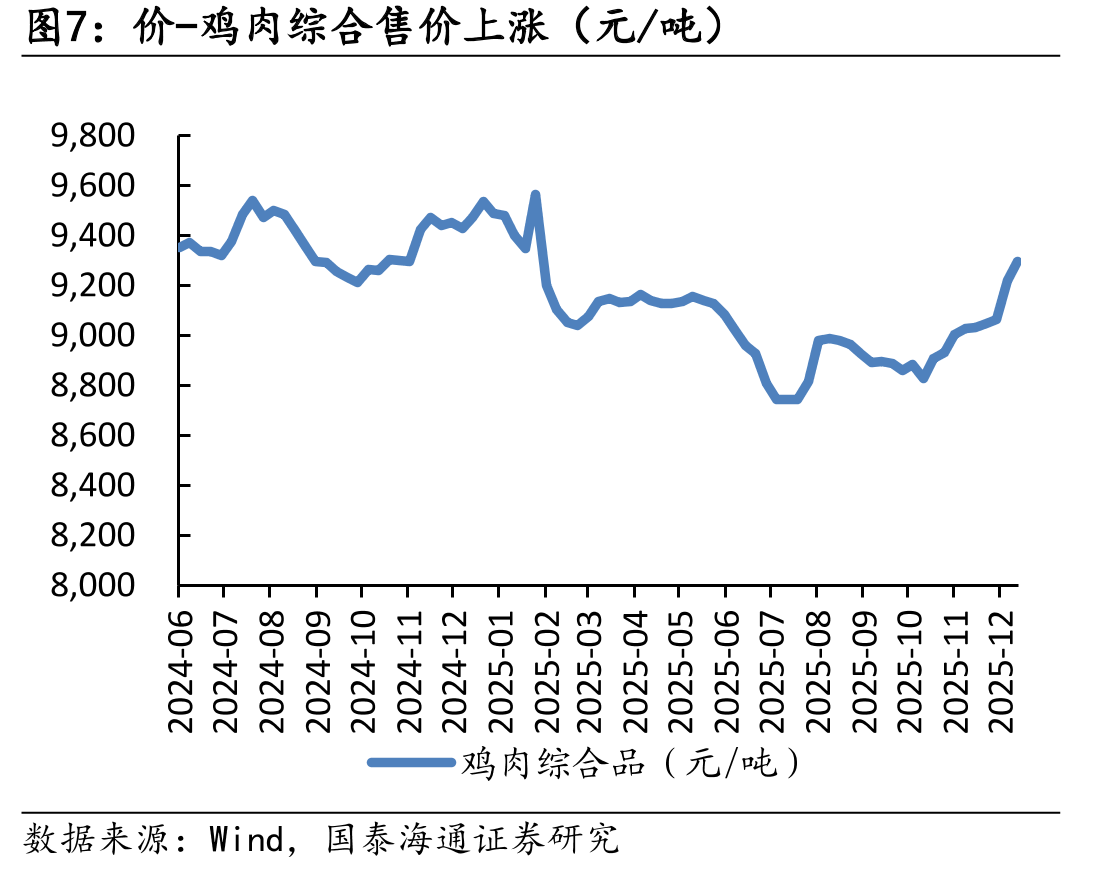 量-黄鸡在产祖代存栏低位（万套）_第5页
