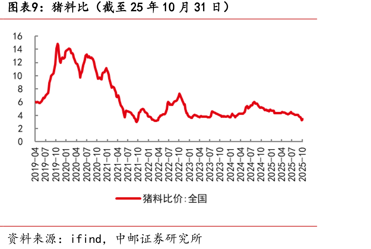 山东烟台毛鸡收购价（截至25年10月31日）_第2页