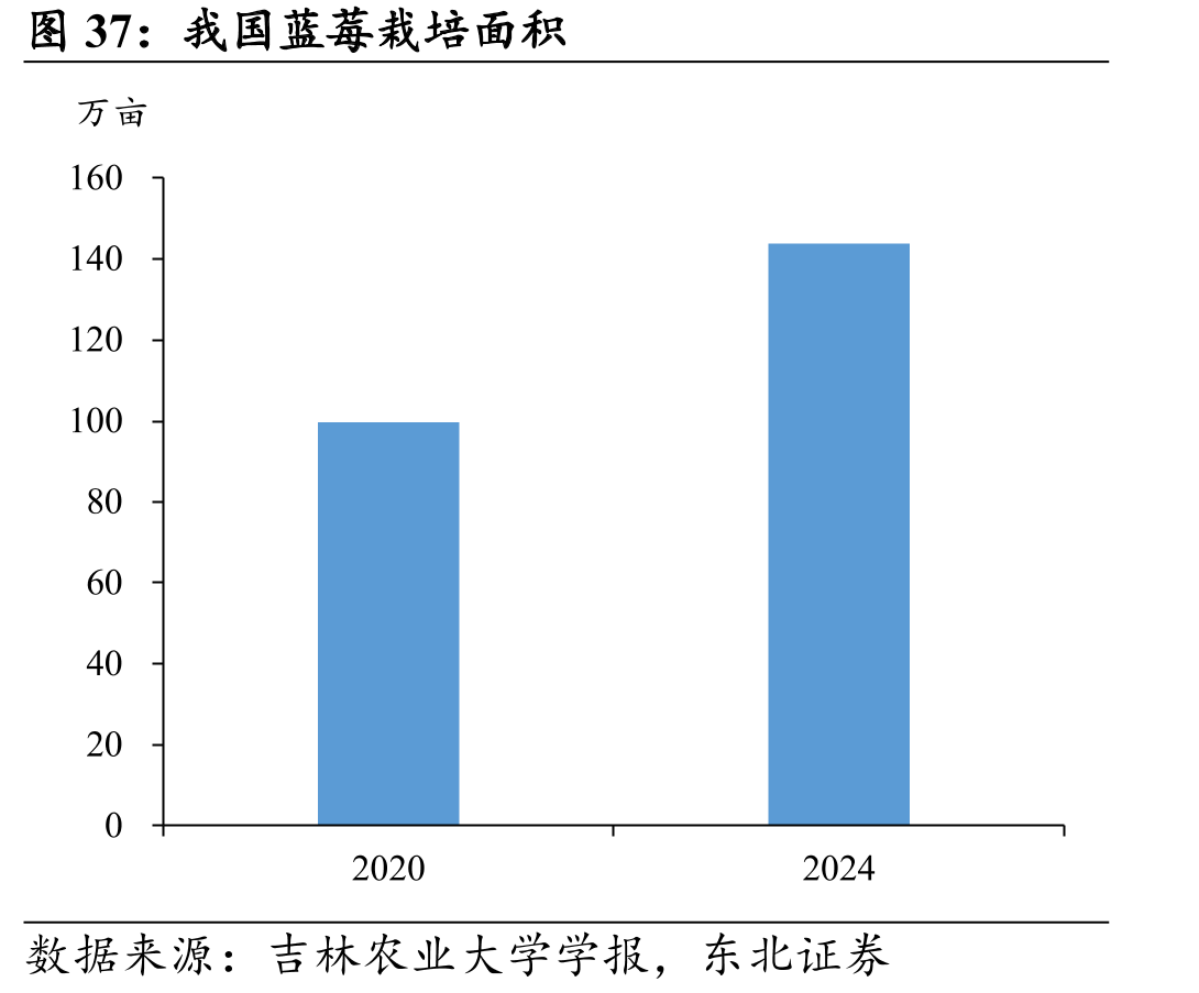 我国蓝莓栽培面积