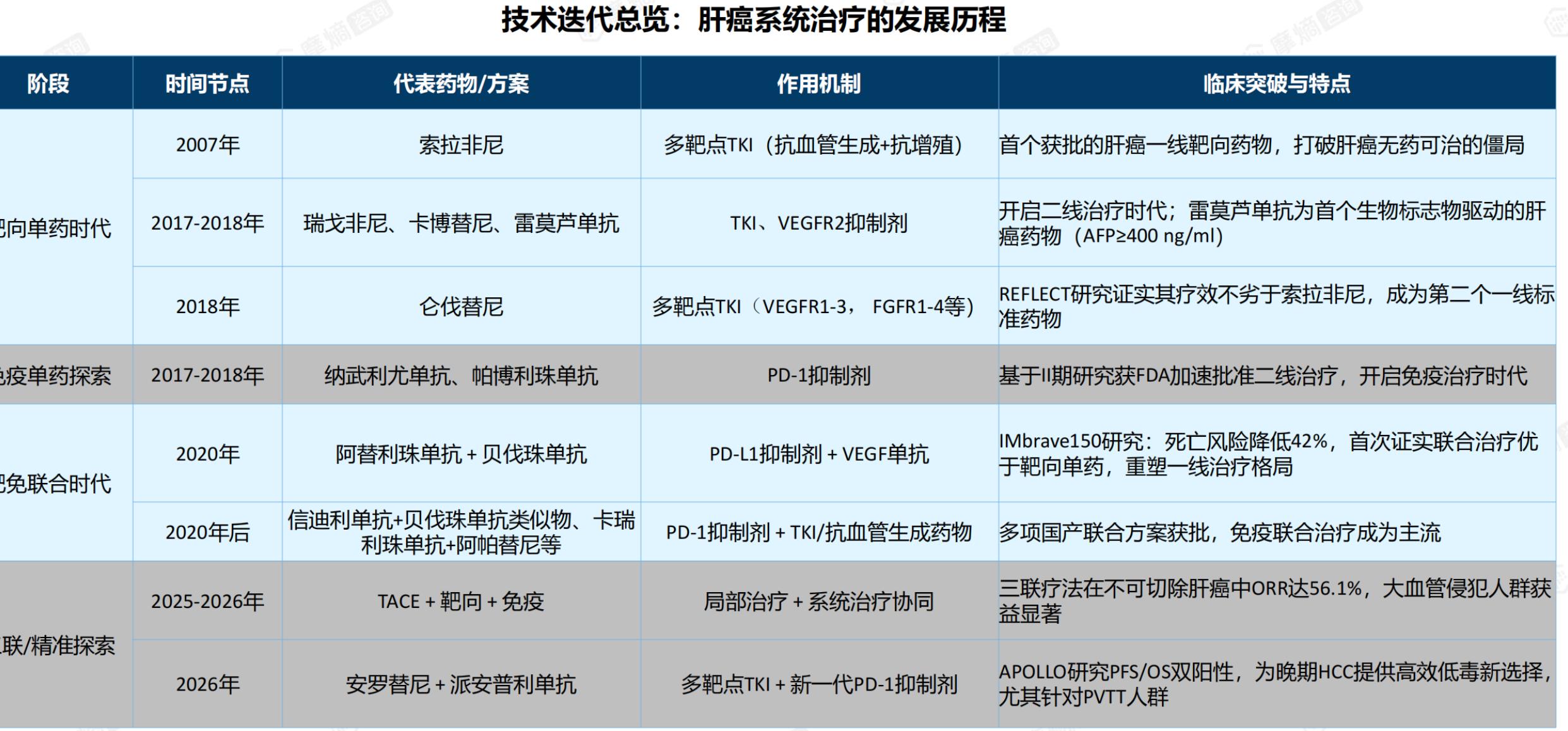 中国肝癌药物适应症TOP10_第4页