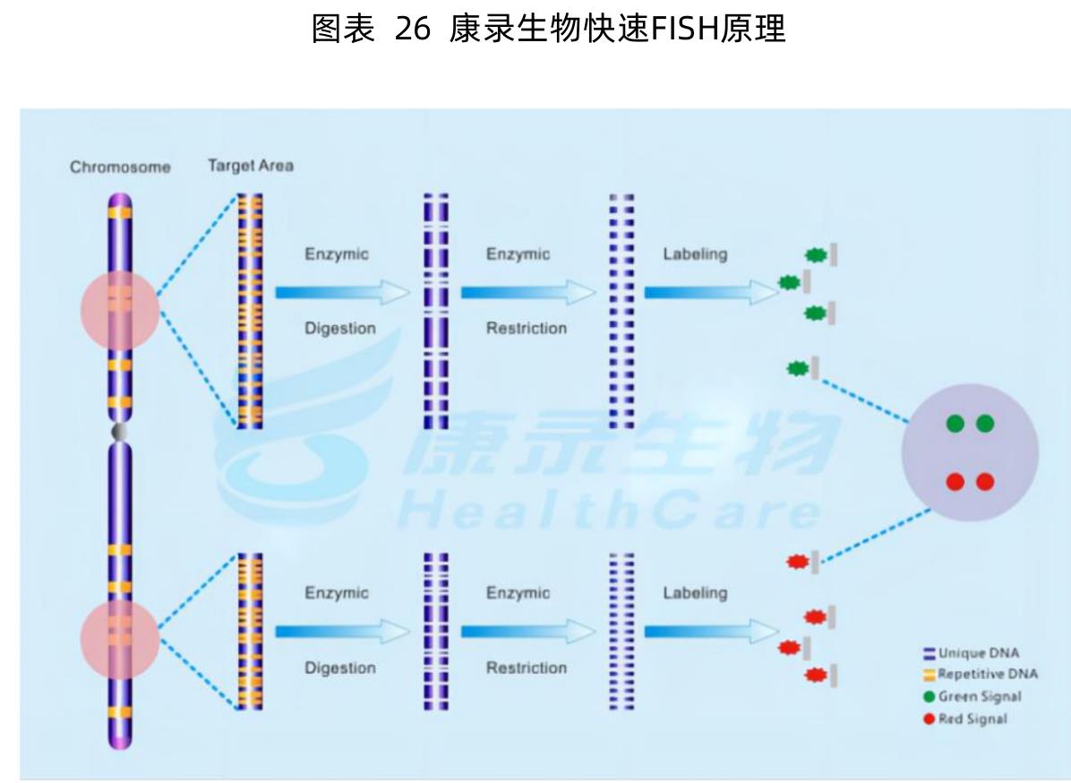 图表12主流技木及具升级技木成熟度和币场规模分析_第3页
