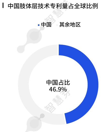 ■中国肢体层技术专利量占全球比例