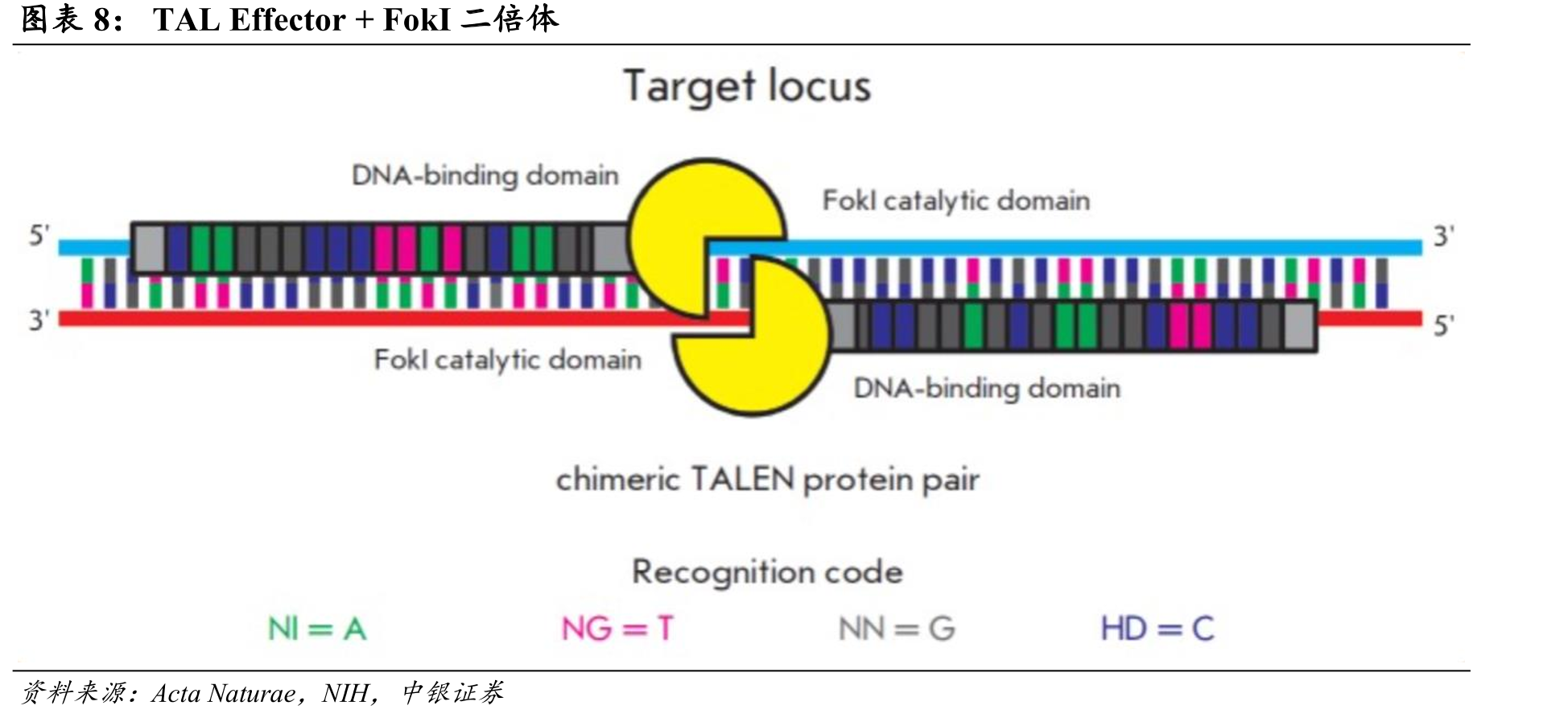 NTLA-2001临床I期针对心肌疾病（ATTR-CM）的设计_第3页