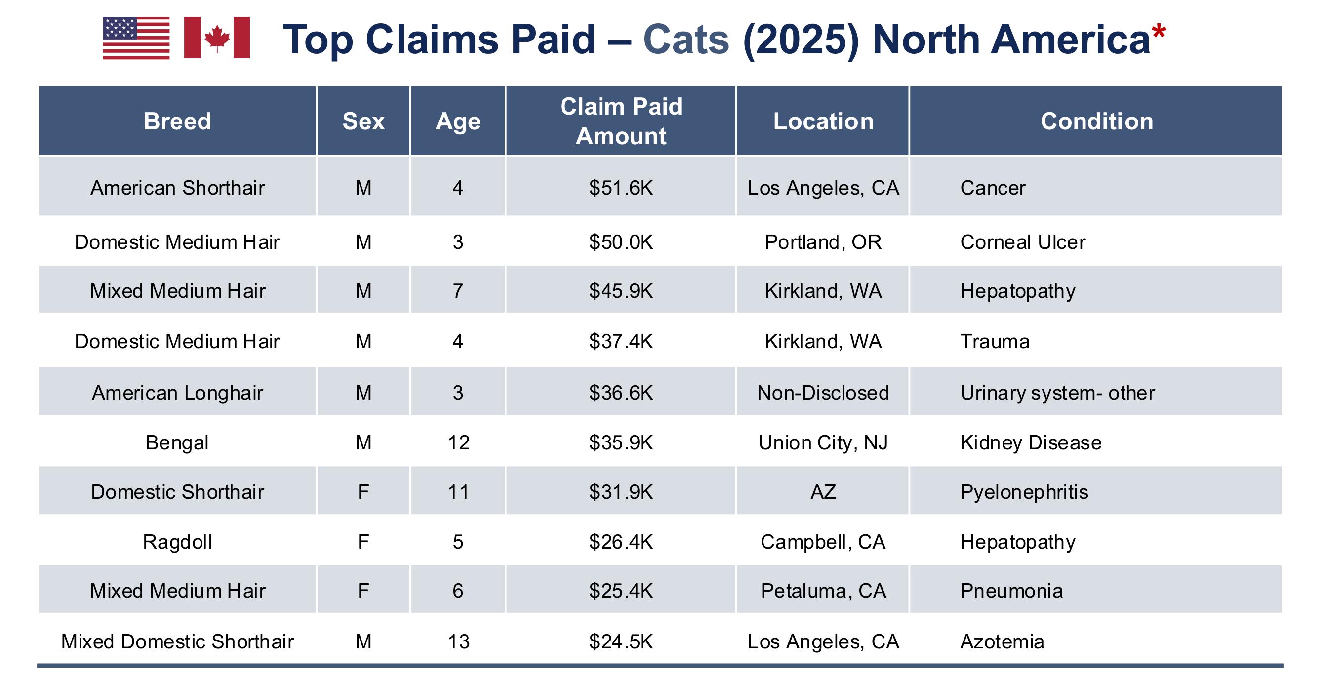Top Claims Paid - Cats (2025) North America