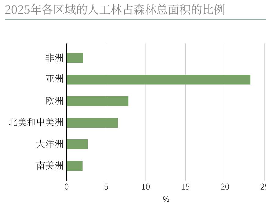 2025年各区域的人工林占森林总面积的比例