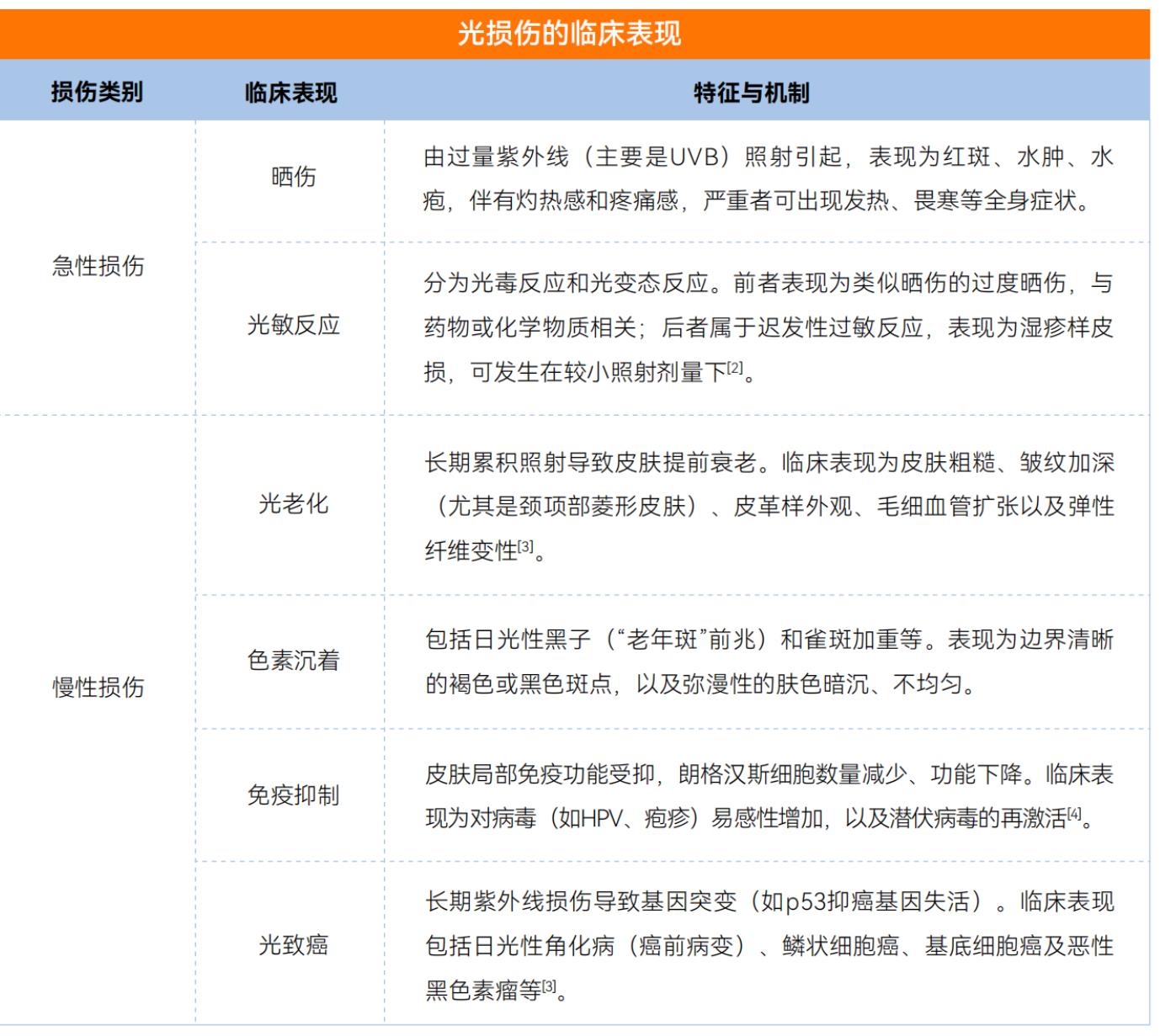 光损伤临床表现：从急性晒伤到慢性光致癌的完整图谱