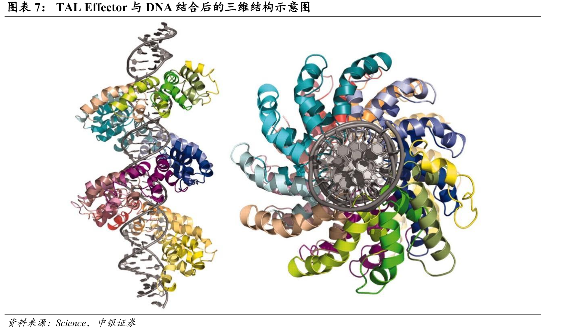 NTLA-2001临床I期针对心肌疾病（ATTR-CM）的设计_第4页
