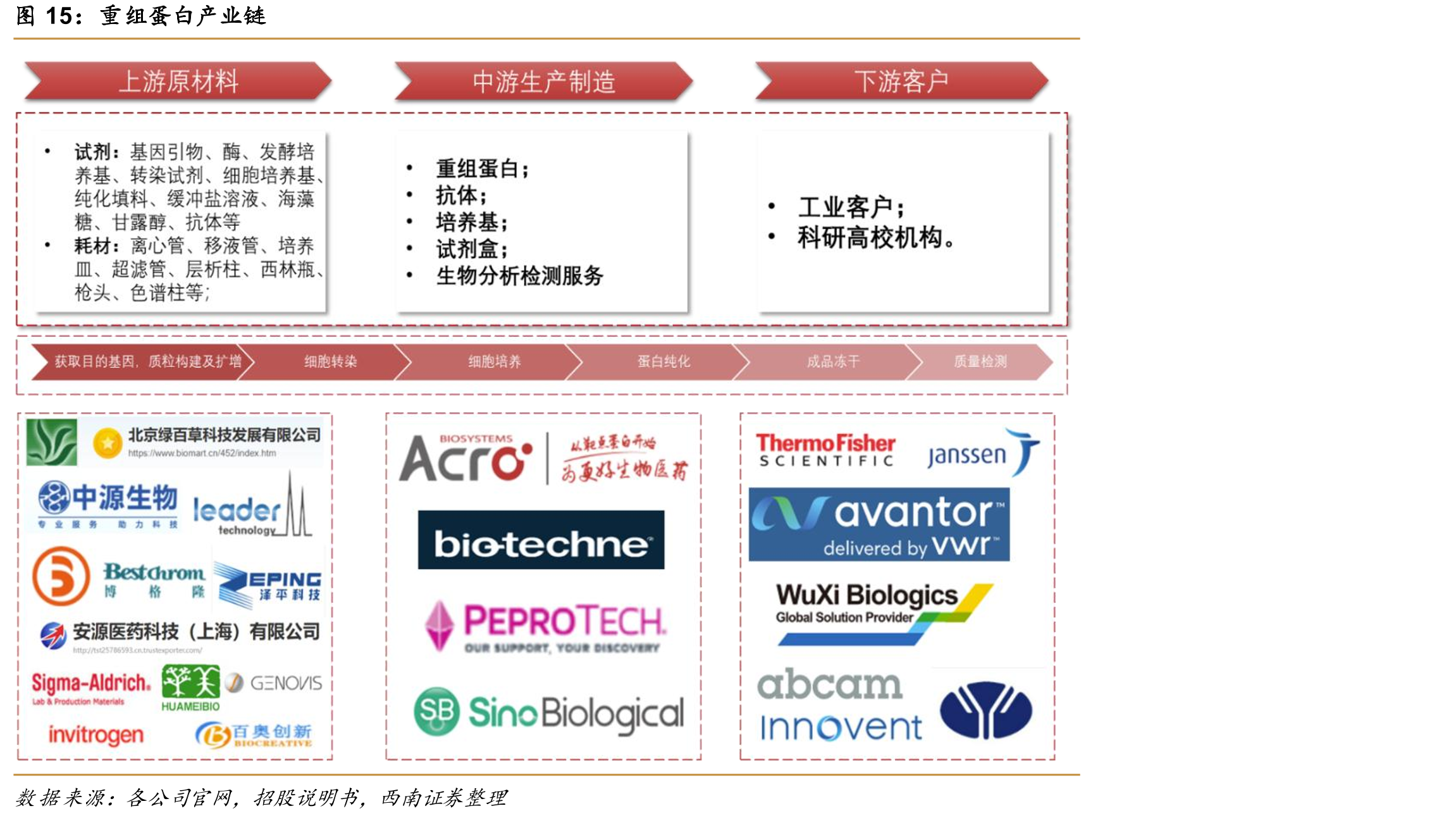 重组蛋白产业链