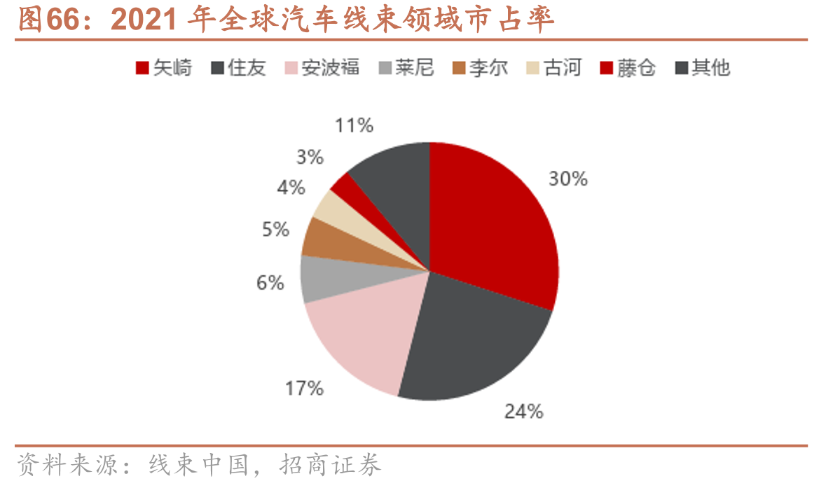 2021年全球汽车线束领域市占率