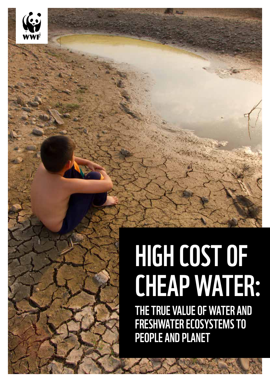 WWF：“廉价”水的高成本-水和淡水生态系统对人类和地球的真正价值（英文版）（33页）.pdf_第1页