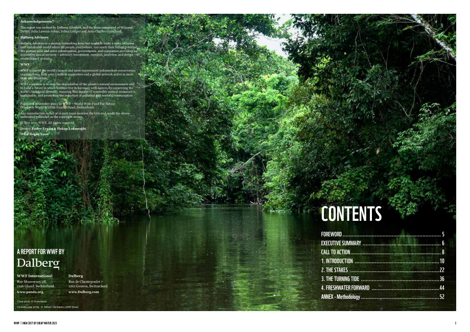WWF：“廉价”水的高成本-水和淡水生态系统对人类和地球的真正价值（英文版）（33页）.pdf_第2页