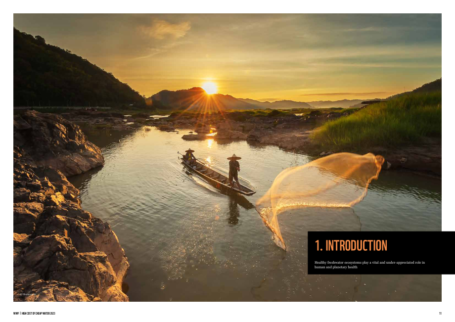 WWF：“廉价”水的高成本-水和淡水生态系统对人类和地球的真正价值（英文版）（33页）.pdf_第6页