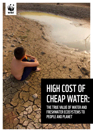WWF：“廉价”水的高成本-水和淡水生态系统对人类和地球的真正价值（英文版）（33页）.pdf