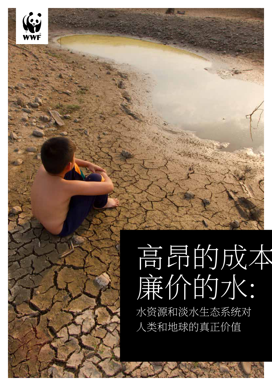 WWF：“廉价”水的高成本-水和淡水生态系统对人类和地球的真正价值（英文版）（33页）.pdf_第1页