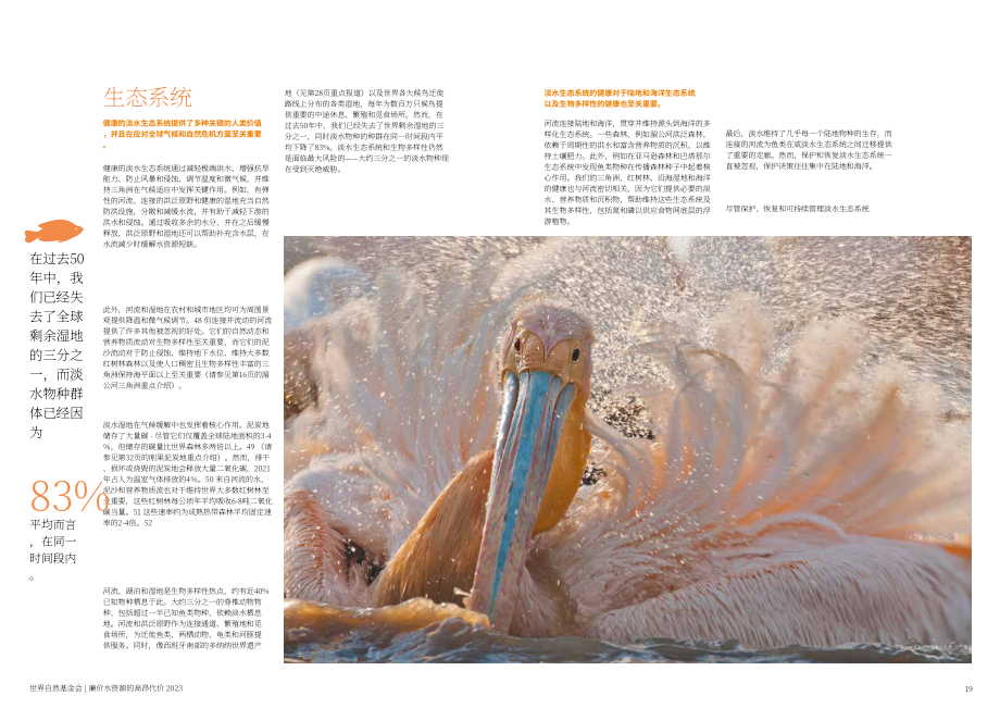 WWF：“廉价”水的高成本-水和淡水生态系统对人类和地球的真正价值（英文版）（33页）.pdf_第10页