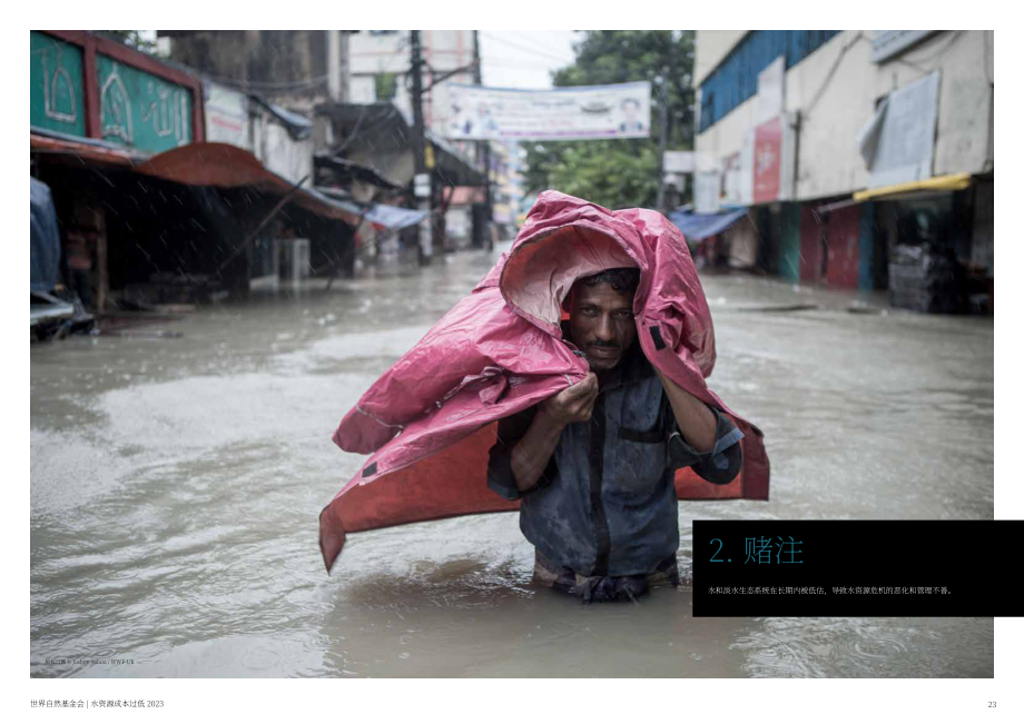 WWF：“廉价”水的高成本-水和淡水生态系统对人类和地球的真正价值（英文版）（33页）.pdf_第12页