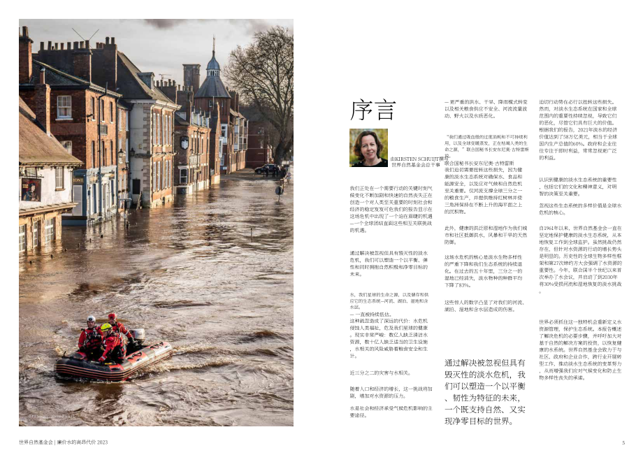 WWF：“廉价”水的高成本-水和淡水生态系统对人类和地球的真正价值（英文版）（33页）.pdf_第3页