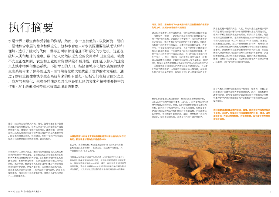 WWF：“廉价”水的高成本-水和淡水生态系统对人类和地球的真正价值（英文版）（33页）.pdf_第4页