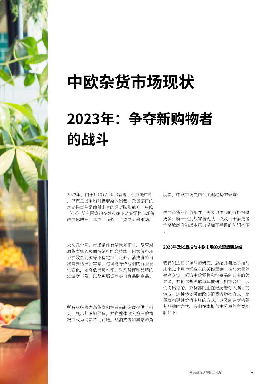 麦肯锡：2023年中欧食杂零售市场状况报告-新顾客争夺战（英文版）（82页）.pdf_第11页