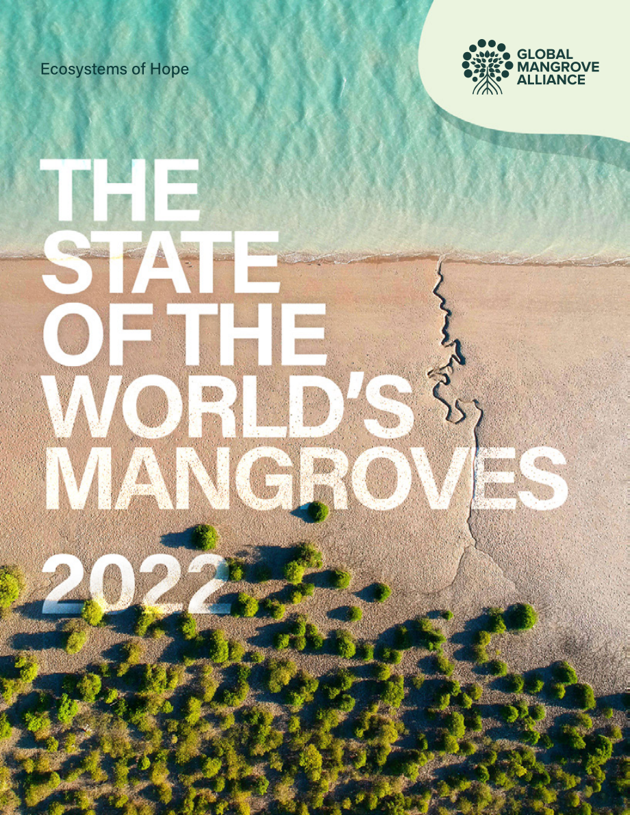 全球红树林联盟：2022全球红树林状况报告（英文版）（49页）.pdf_第1页