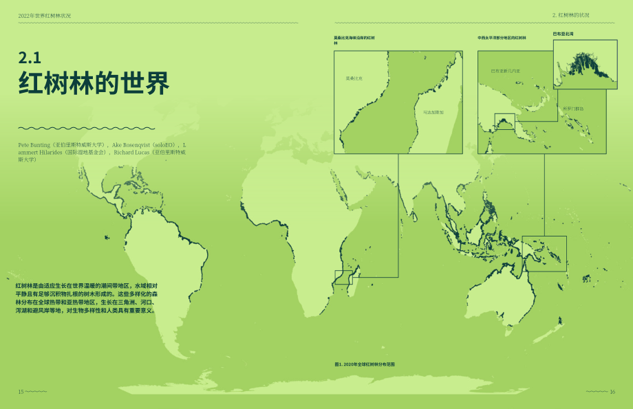 全球红树林联盟：2022全球红树林状况报告（英文版）（49页）.pdf_第10页