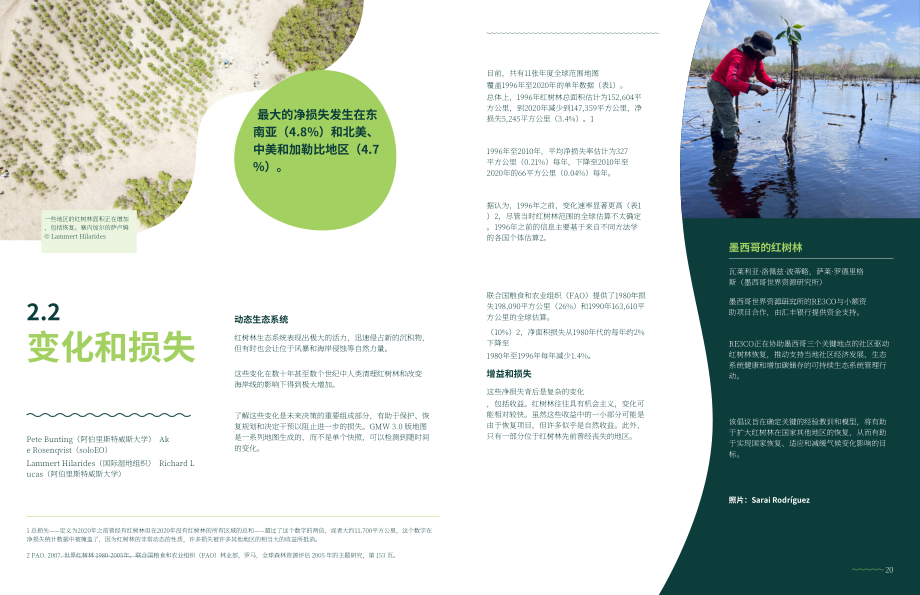 全球红树林联盟：2022全球红树林状况报告（英文版）（49页）.pdf_第12页