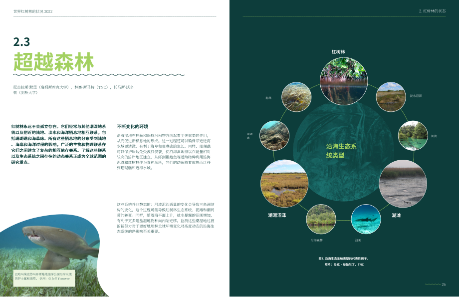 全球红树林联盟：2022全球红树林状况报告（英文版）（49页）.pdf_第15页