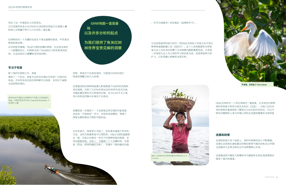 全球红树林联盟：2022全球红树林状况报告（英文版）（49页）.pdf_第5页