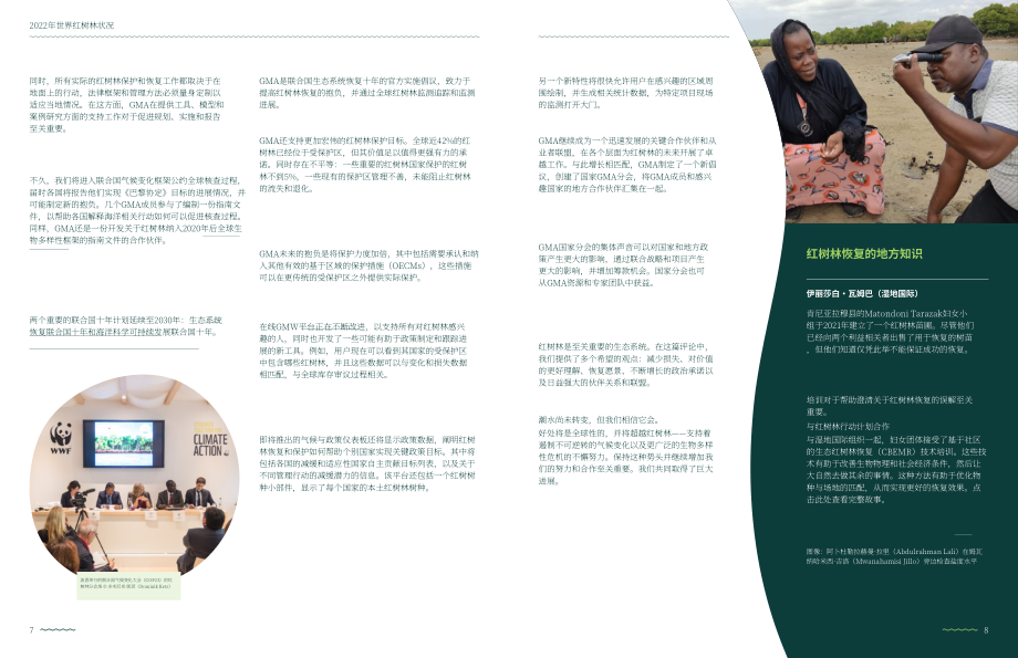 全球红树林联盟：2022全球红树林状况报告（英文版）（49页）.pdf_第6页
