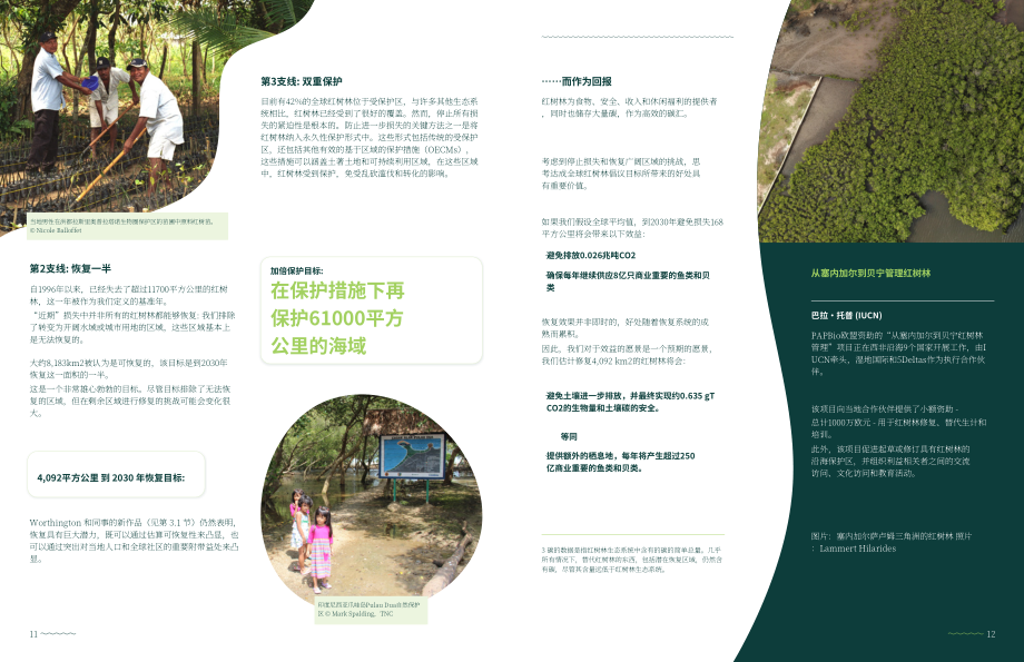全球红树林联盟：2022全球红树林状况报告（英文版）（49页）.pdf_第8页